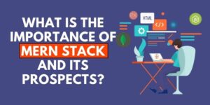 What is the Importance of MERN Stack and its Prospects