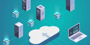 What are the Roles and Responsibilities of DHCP?